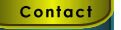 Contact Button