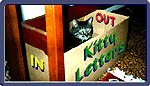 E-mail Clyde Icon