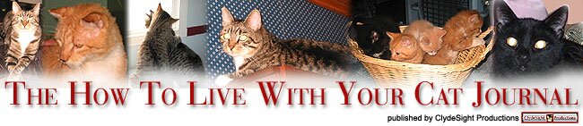How To Live With Your Cat Journal logo