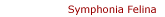 Symphonia Felina